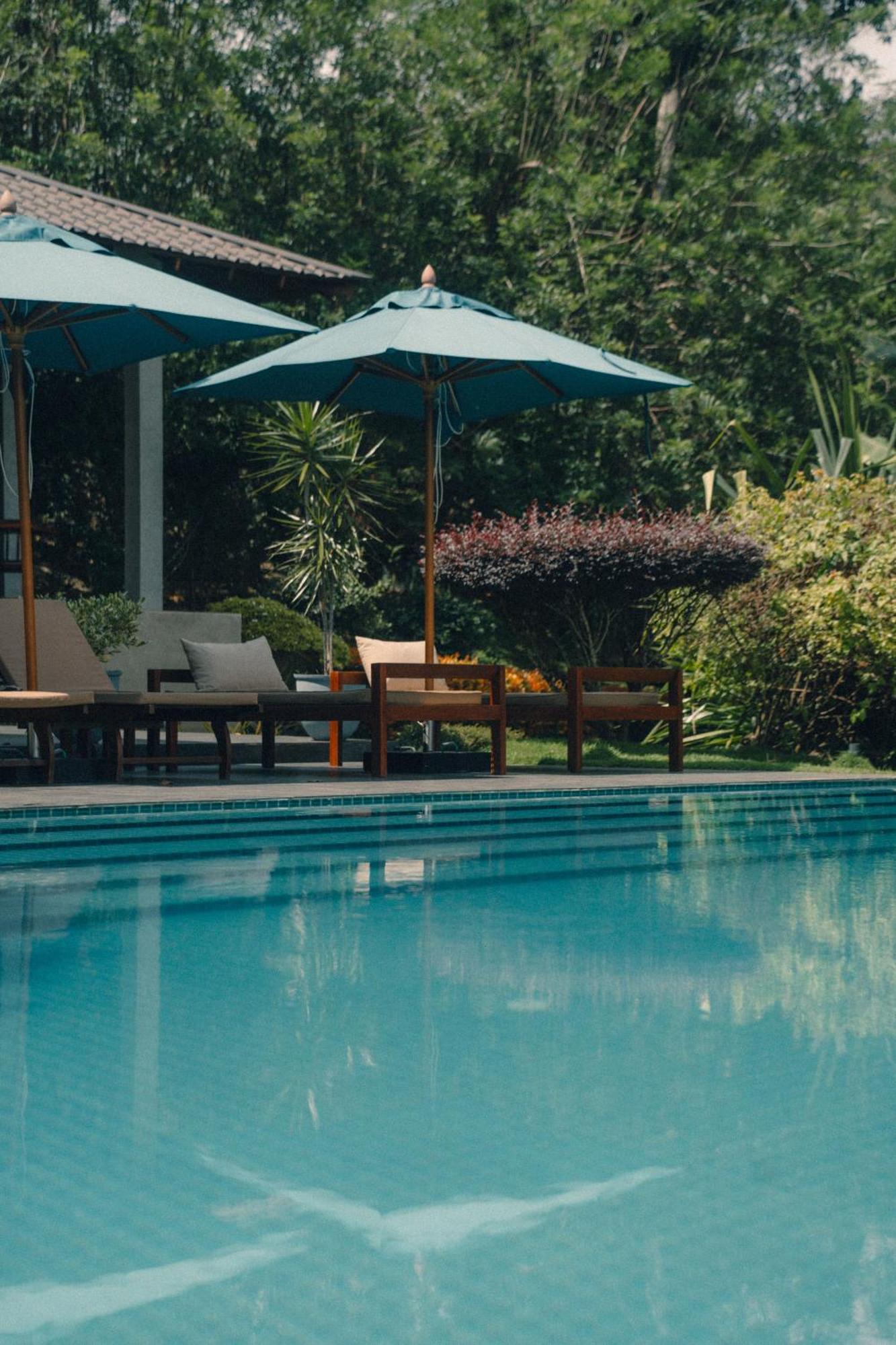 Aarunya Nature Resort - Kandy Eksteriør bilde