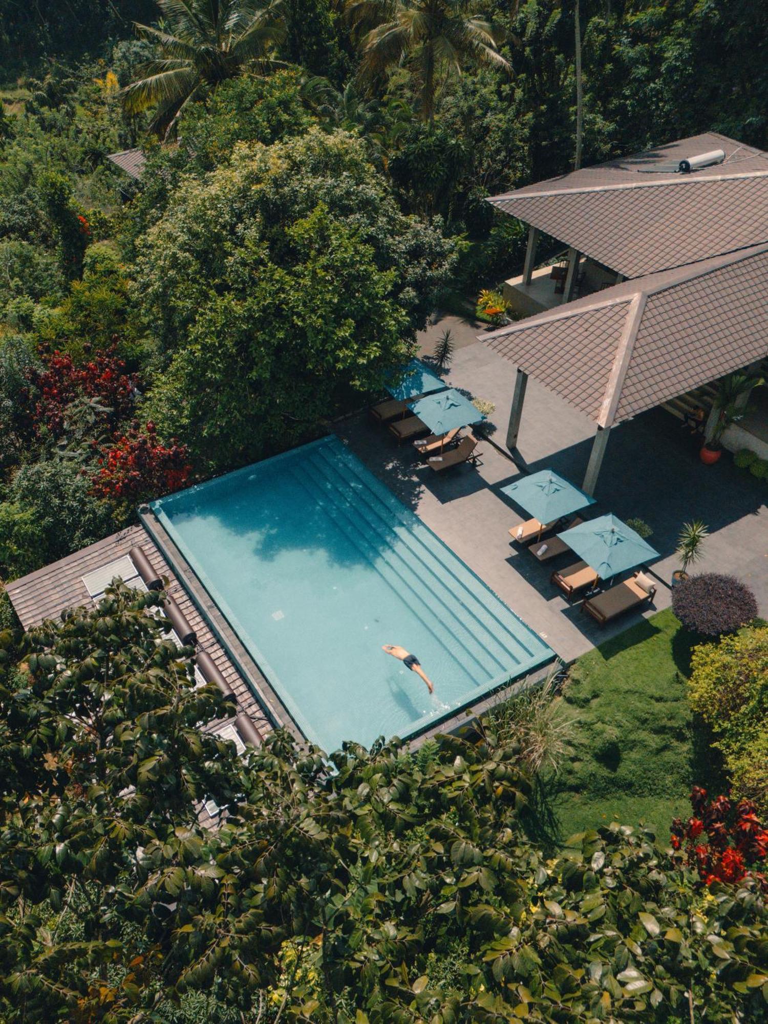 Aarunya Nature Resort - Kandy Eksteriør bilde