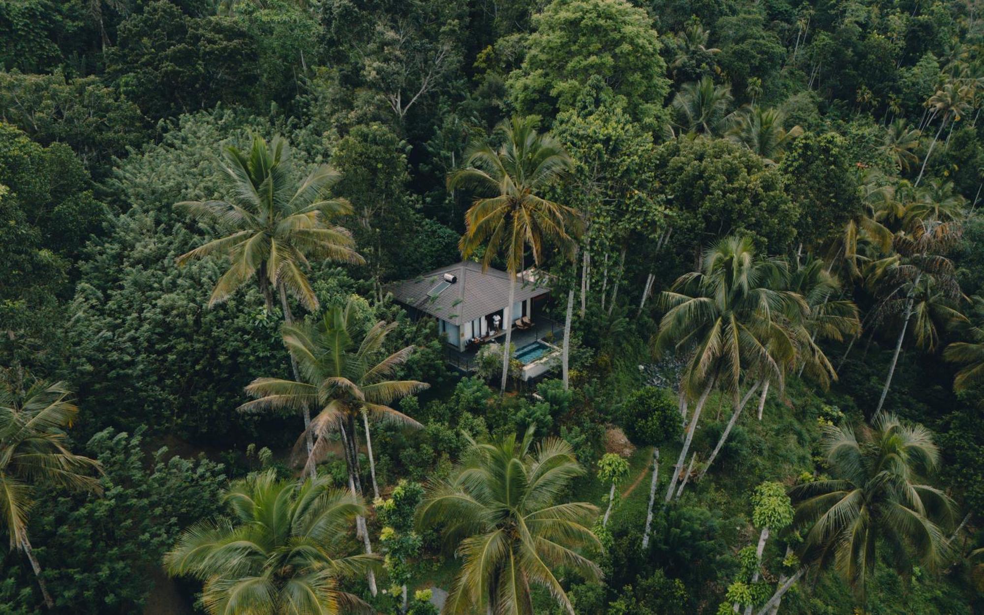Aarunya Nature Resort - Kandy Eksteriør bilde